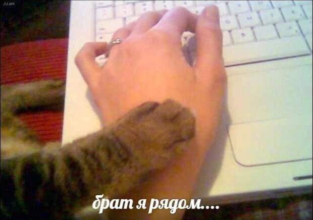 www.vsyako.net