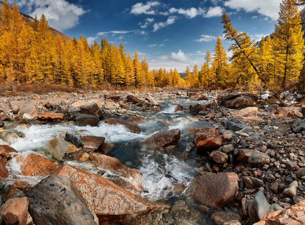 Фото: Sergey Sutkovoy