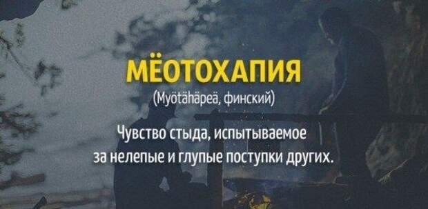 Любопытные факты, которые вас удивят