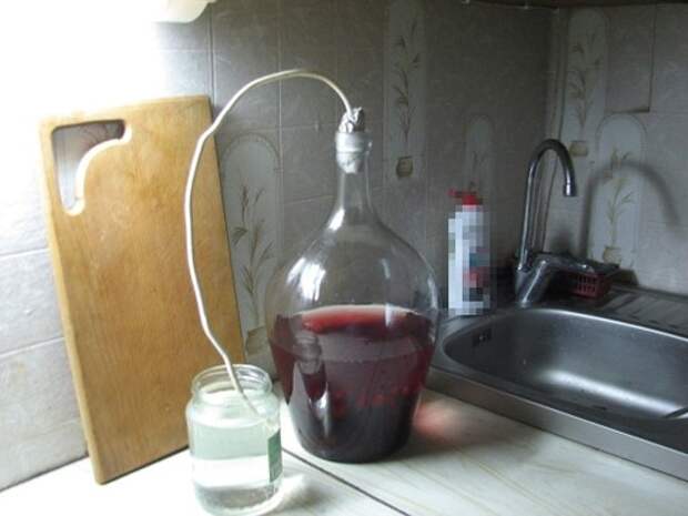водяной затвор для сливового вина