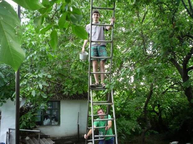 33 фотографии, демонстрирующие, почему женщины живут дольше мужчин 33 фотографии, демонстрирующие, почему женщины живут дольше мужчин