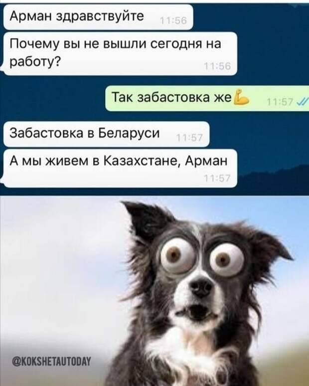 Как живете, казахстанцы? Как живете, казахстанцы?