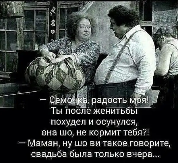   - Где ты был всю ночь? Что молчишь, кобель? Сказать нечего?...