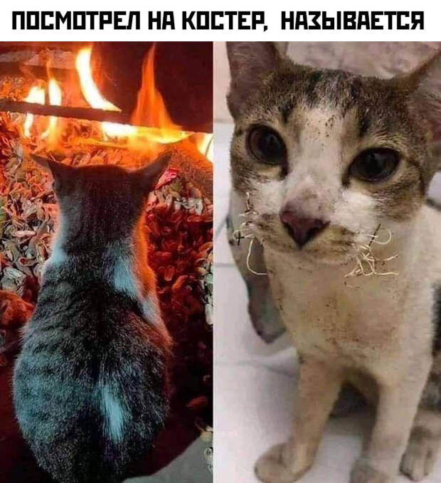 www.vsyako.net