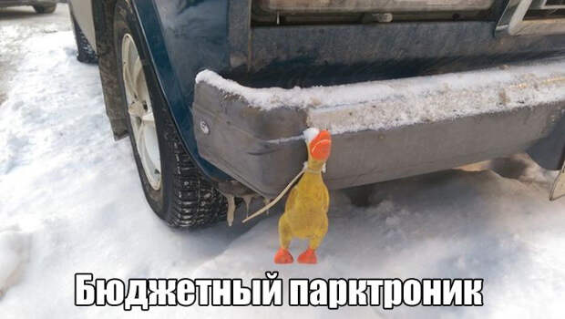 Прикольные фото на выходной! приколы, фото, юмор