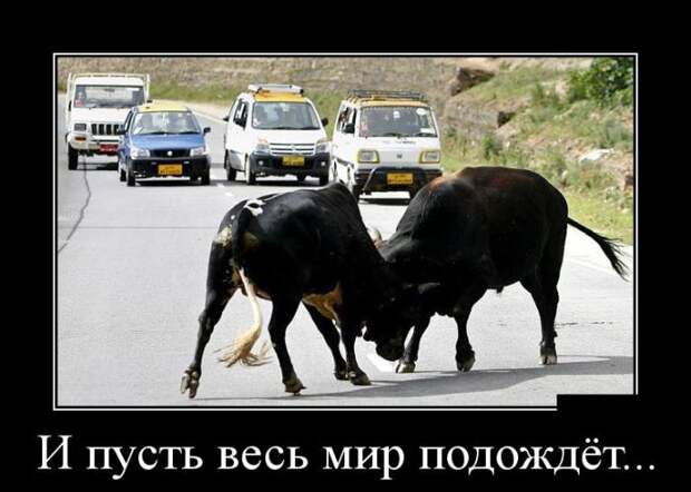 Демотиваторы демотиваторы, юмор