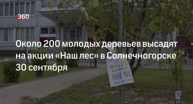 Около 200 молодых деревьев высадят на акции «Наш лес» в Солнечногорске 30 сентября