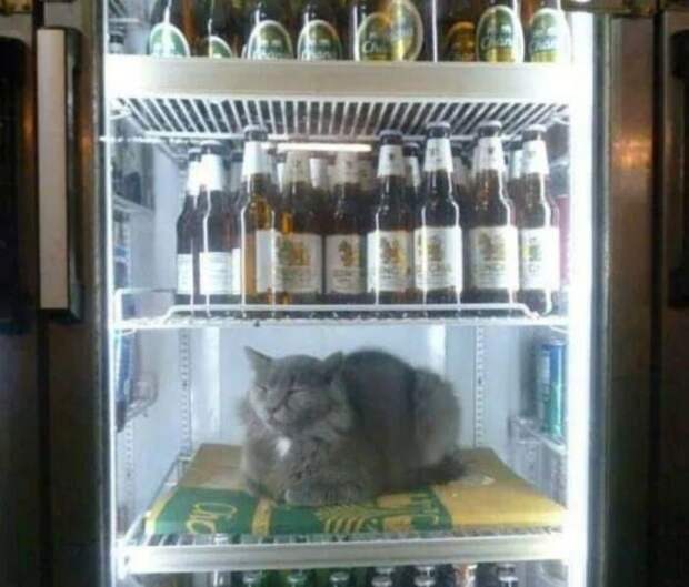 Когда наступила настоящая жара
