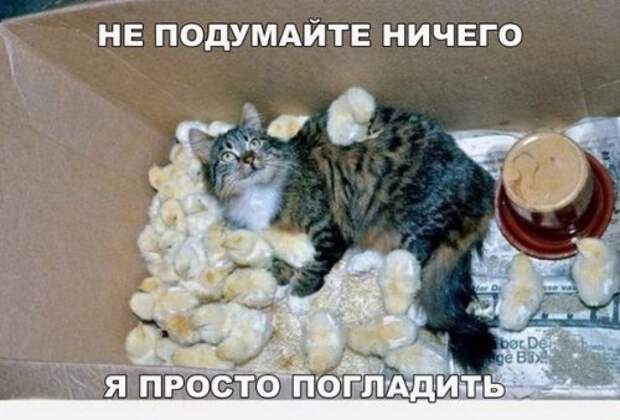 Новые прикольные фотомемы (24 шт)