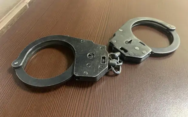 В Скопине задержали супругов за кражу деревьев туи из сквера