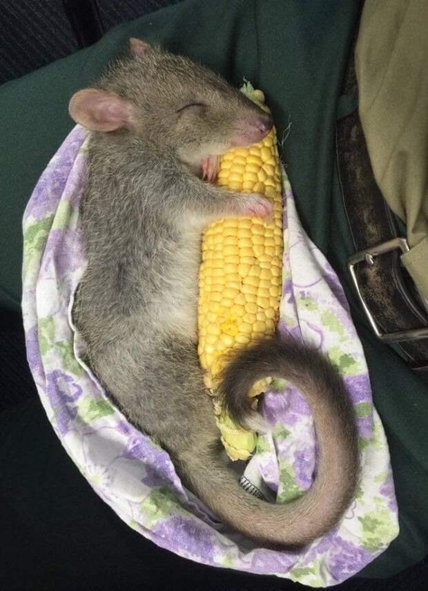 Это любовь