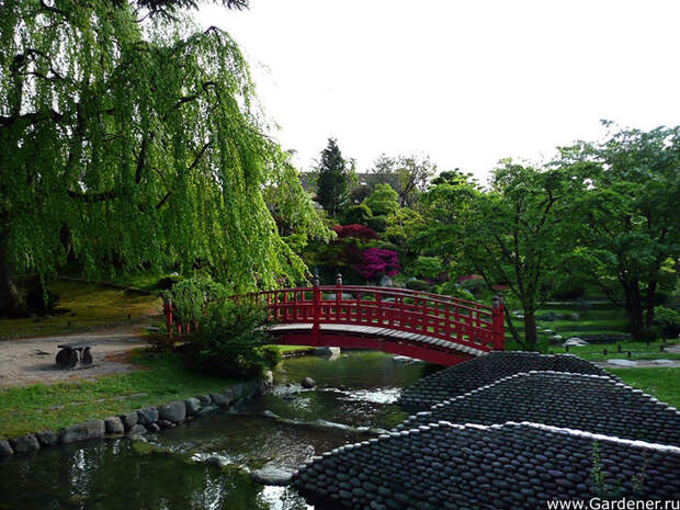 10[2] (700x525, 149Kb)