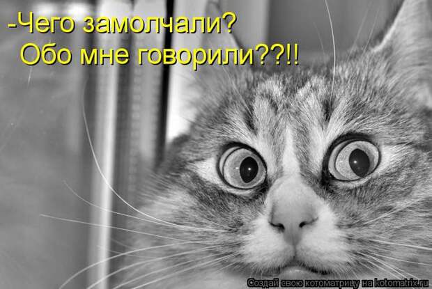 Котоматрица 3 (700x468, 57Kb)