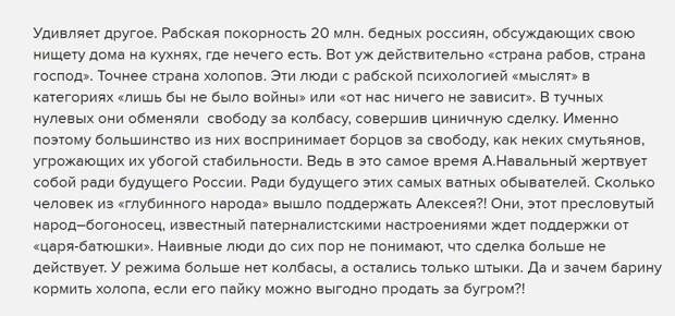 Юрий Селиванов: Ежовые рукавицы демократии