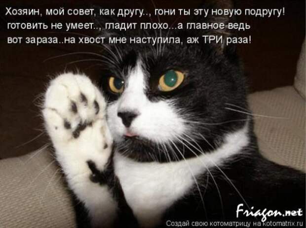 Котоматрица про Любовь
