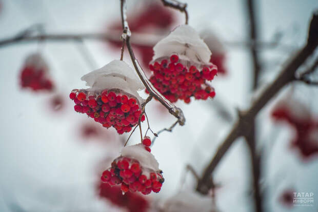 Метель, гололед и порывистый ветер прогнозируют в Татарстане 8 января