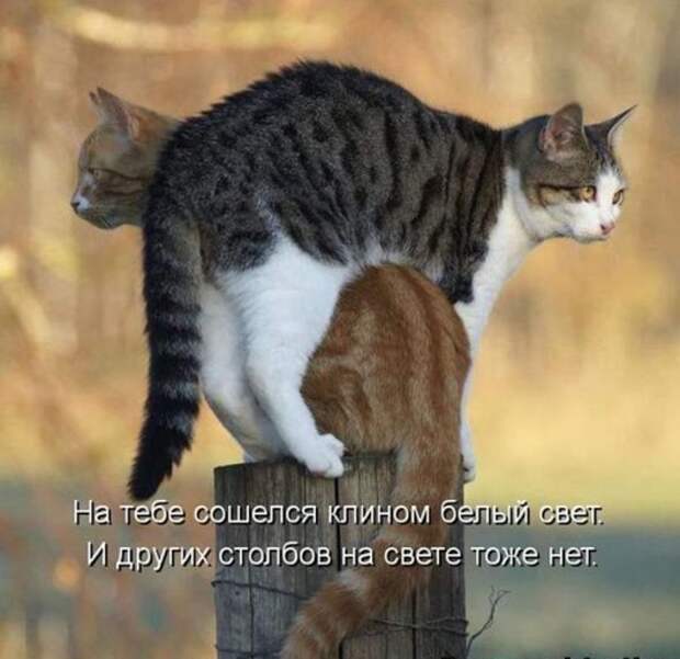 9ff55da80d72476f54679061f83_prev