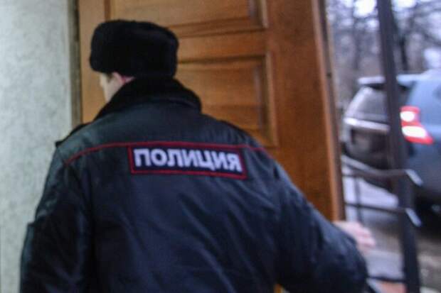 В Якутске полицейские задержали няню, которая истязала двух малолетних детей