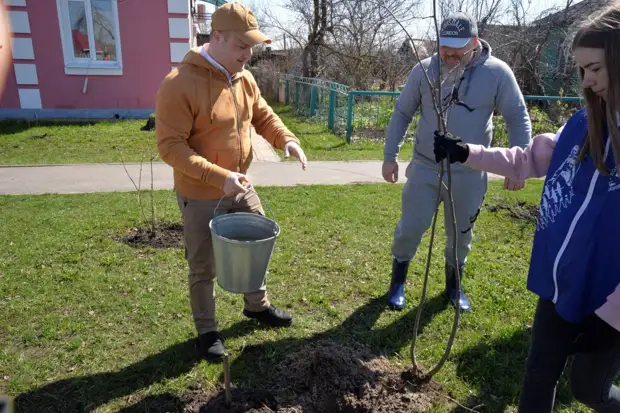 В Рассказовском районе высадили сиреневую аллею