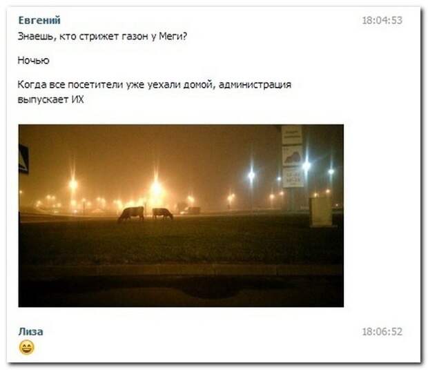 Юмор из социальных сетей