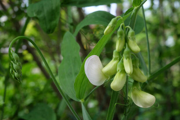 Названы самые недооцененные доступные продукты