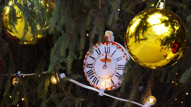 Эколог Фролов: клещи могут попасть на новогодние елки