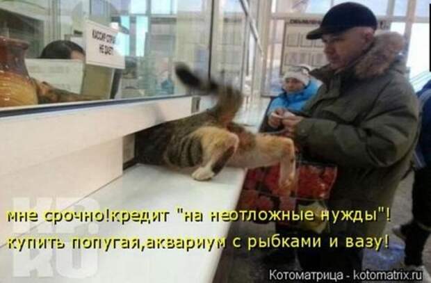a0f0cb58a482d5b920923ee910a_prev