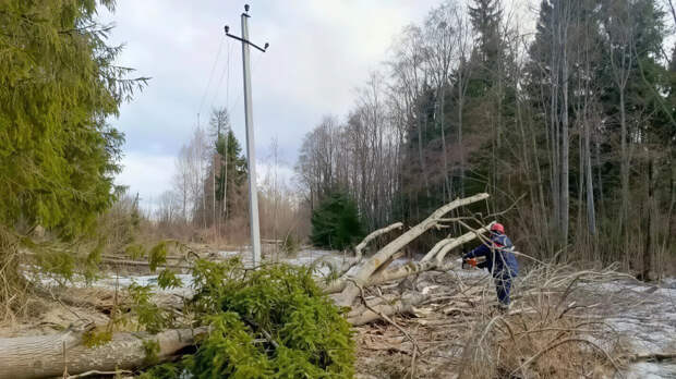 «Россети» устраняют последствия циклона в регионах РФ