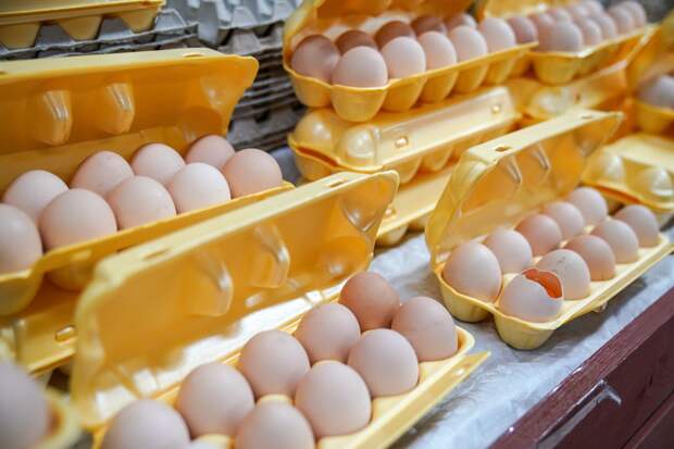 Россия вошла в десятку лидеров по производству яиц