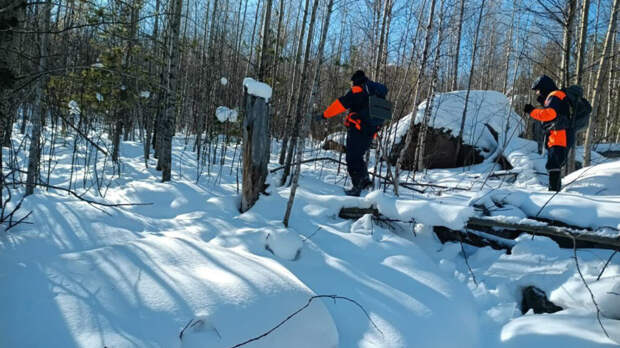 «Сложная история»: чем завершились новые поиски семьи Усольцевых