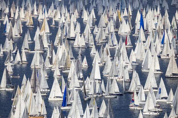 Barcolana 2014, Барколана, регата, яхты, парусники
