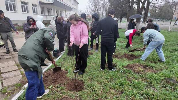 В Родниковском высадили аллею Славы бойцов СВО