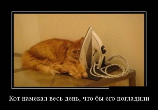 Демотиваторы (30 фото)