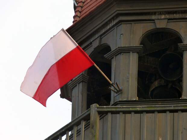 Польша готова расшибить лоб за то, что может получить бесплатно