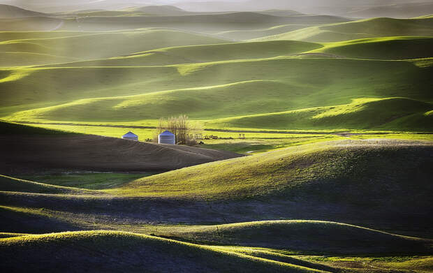 Холмы Palouse, США Palouse 3 Изумрудные холмы Палуз