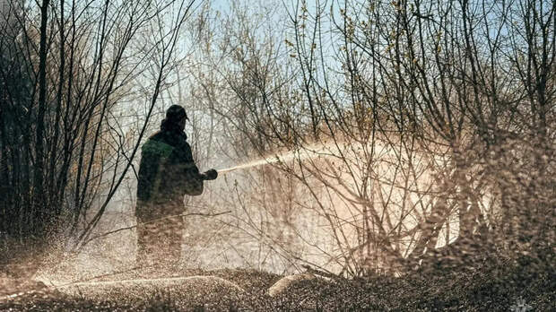 Жителей Алтайского края предупредили о высокой пожароопасности