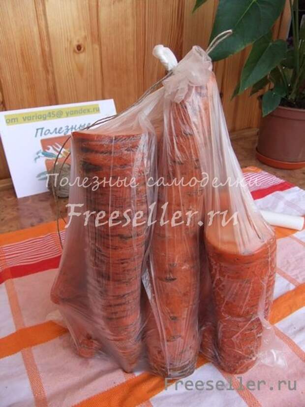 Как сохранить морковь до следующего лета