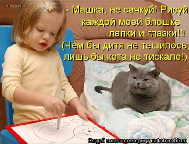 Котоматрицы(картинки с надписями)