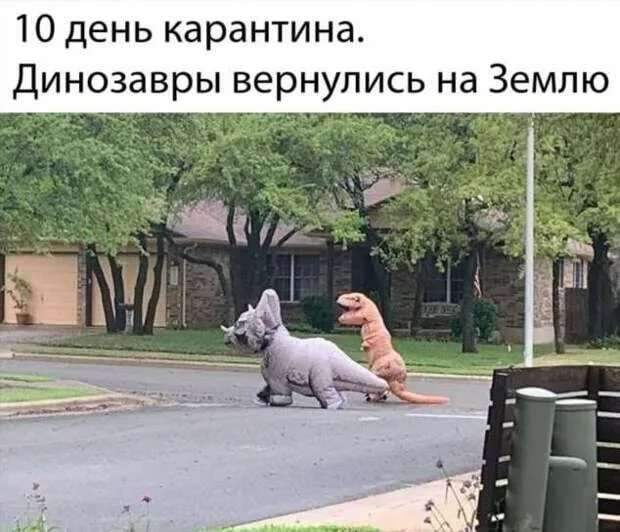 Демотиваторы про коронавирус с надписями. Подборка chert-poberi-dem-koronavirus-chert-poberi-dem-koronavirus-23040416012021-9 картинка chert-poberi-dem-koronavirus-23040416012021-9