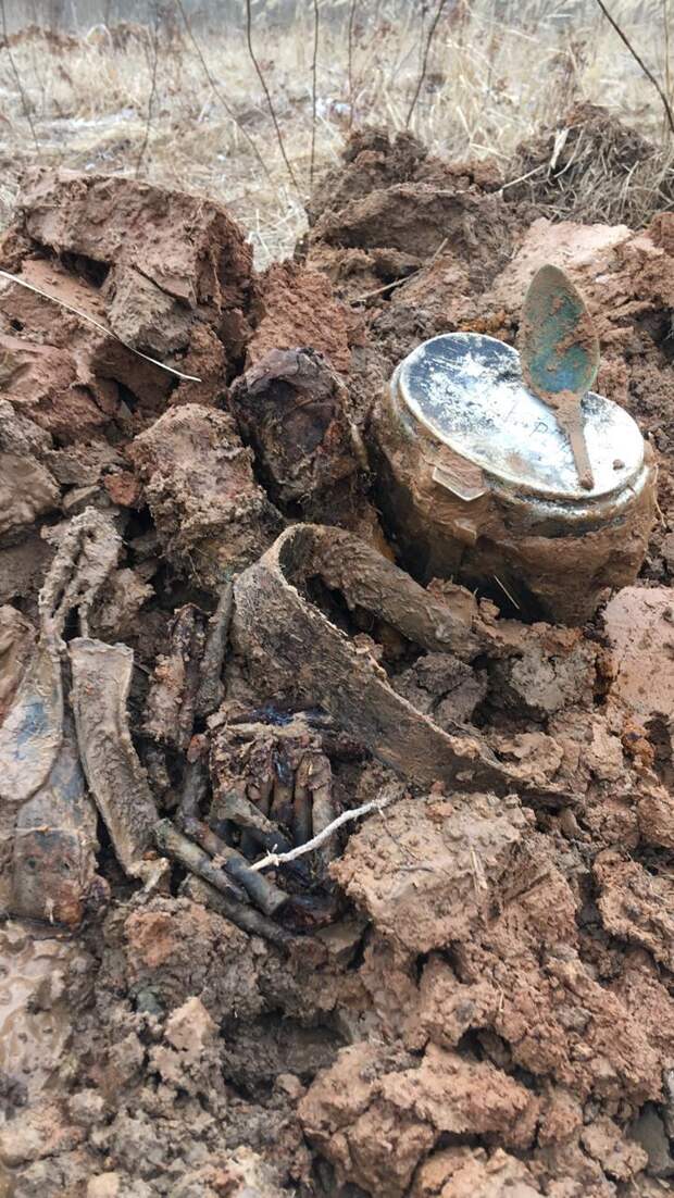 В Тверской области нашли 23 солдата и всего 2 медальона