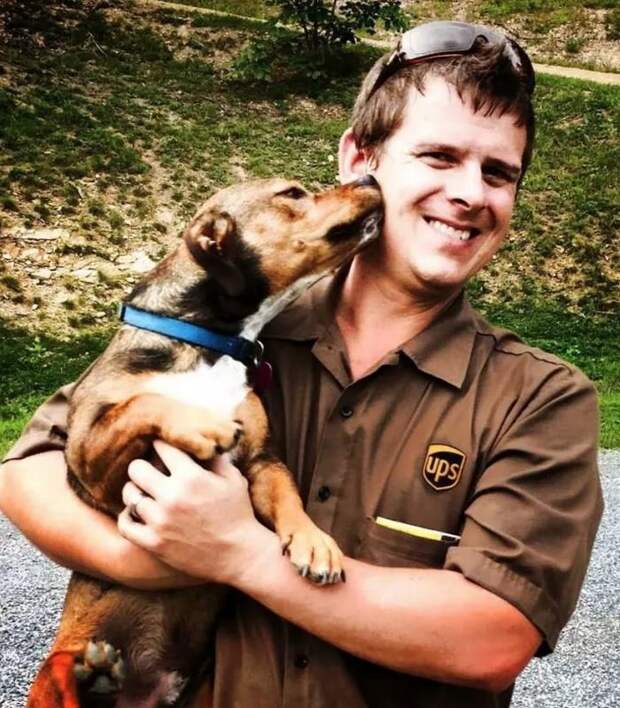 Это Шон Маккаррен, создатель группы UPS Dogs в Фейсбуке домашние животные, животные, собака, собака - друг человека, собака - лучший друг, собаки, фото собак