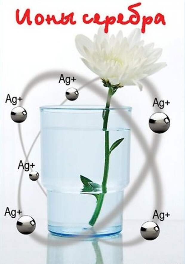 Действие серебра. Ионы серебра. Ионы серебра в воде. Лечебные свойства серебряной воды. Обработка воды ионами серебра.