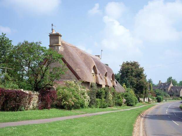 Фотоподборка: 