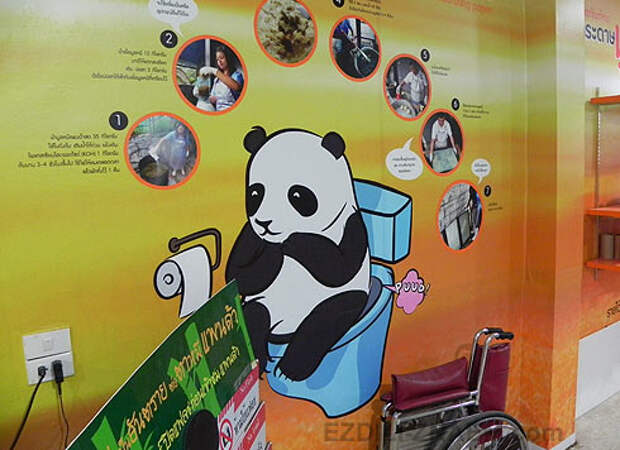 панда в зоопарке Чангмая