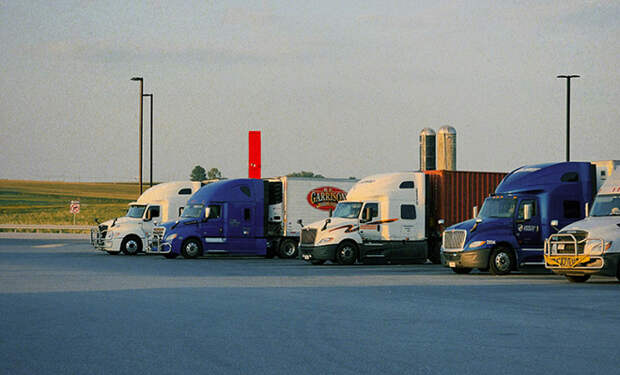 Источник фото: Unsplash