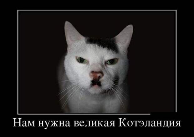 Демотиваторы (30 фото)