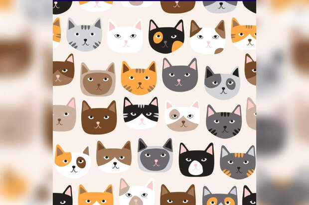 Головоломка для глаз: найдите кошку с носом-сердечком