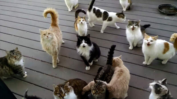 Смысл жизни