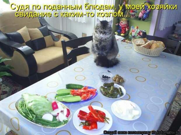 Котоматрицы(картинки с надписями)
