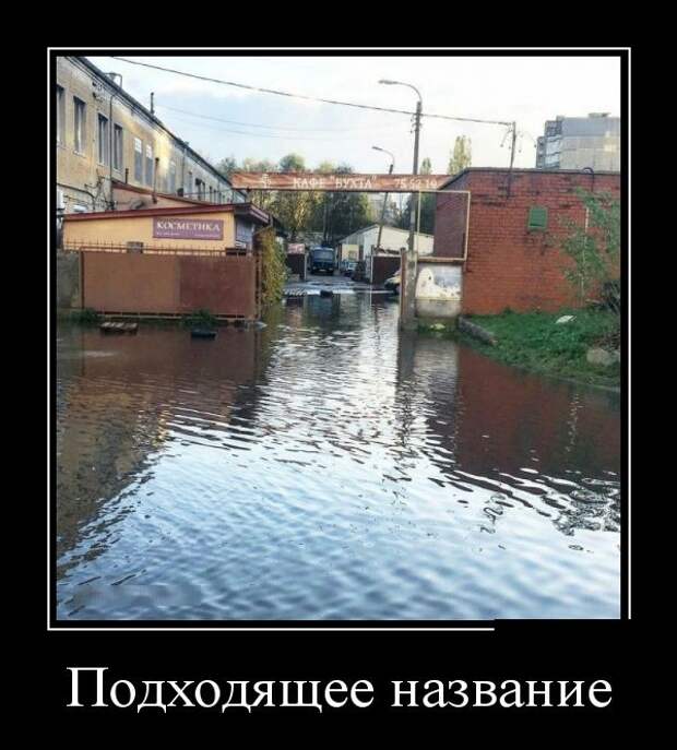 Демотиваторы (30 фото)